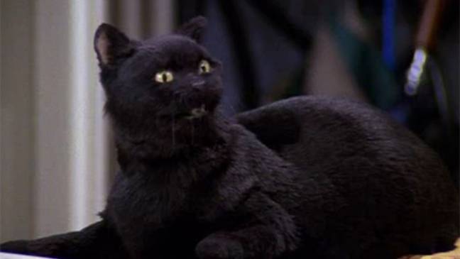 We knew Salem looked familiar (Credit: Paramount)