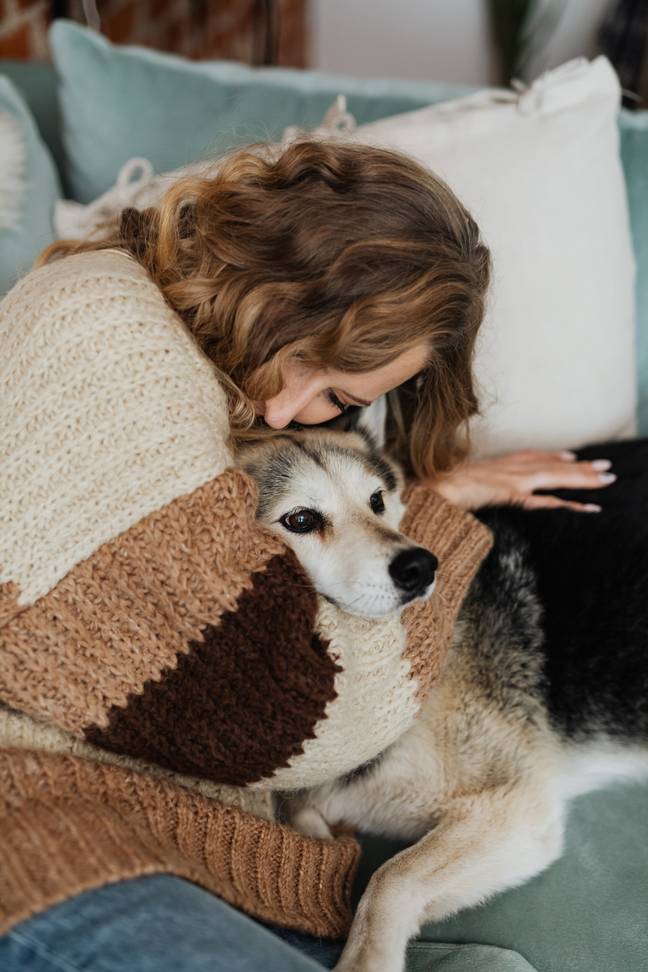 Hugging your dog might make them feel stressed out. Credit: Pexels
