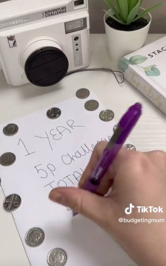 On the final day of the year, you'll be putting away £18.25. Credit: TikTok/@budgetingmum
