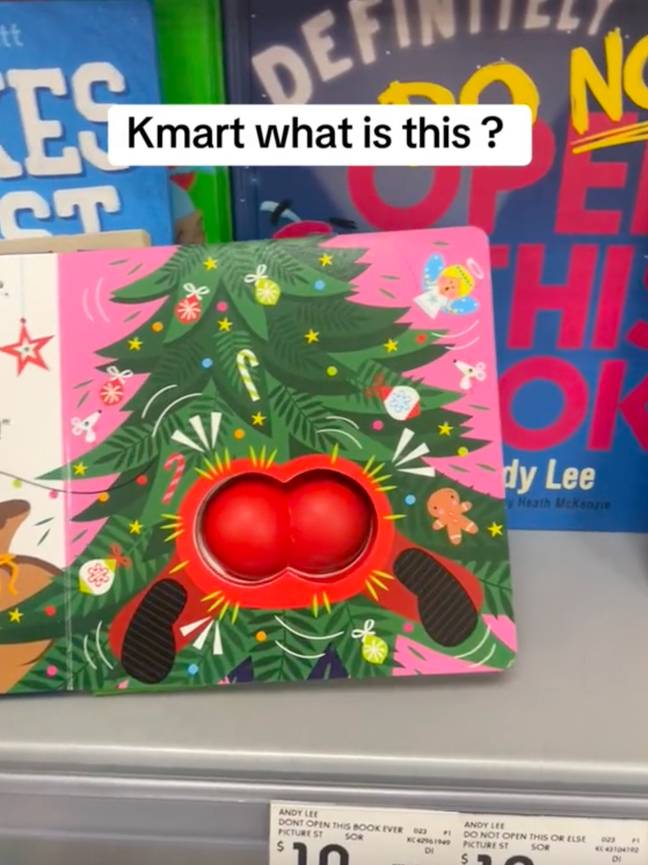 The mum said the book was 'not right for kids'. Credit: TikTok/@kellanne23