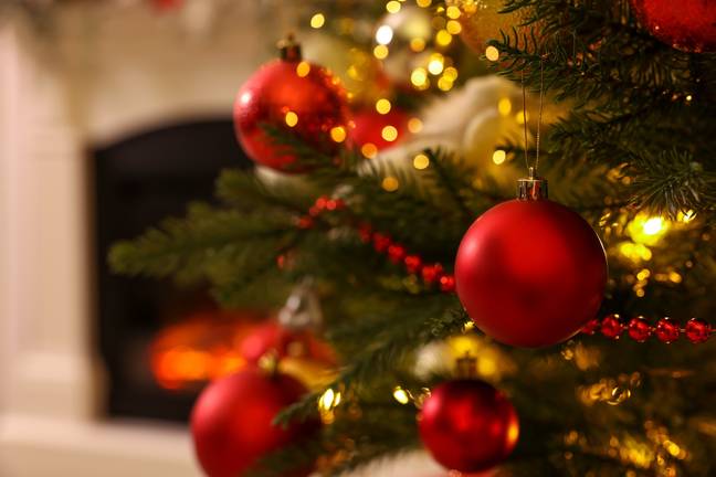 The perfect day to put up your Christmas tree is this Sunday (3 December). Credit: Liudmila Chernetska / Getty Images