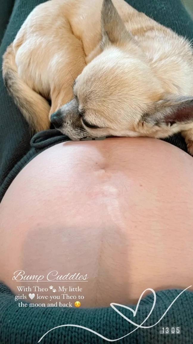 Stacey had shared a picture of her dog cuddling her bump on instagram (Credit: Stacey Solomon/Instagram)