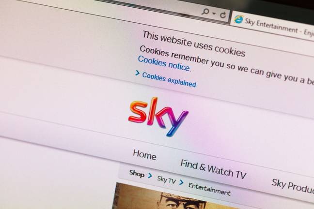 A viewer managed to save £41 a month on their Sky bill. (Credit: Alamy)
