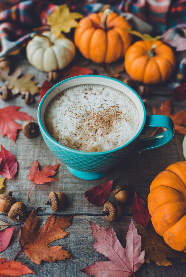 Autumn is just around the corner. Credit: Cavan Images/Alamy Stock Photo