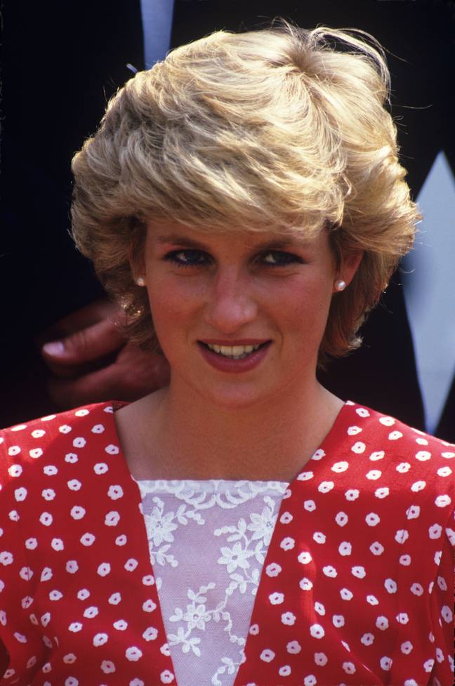 Princess Diana was the most beautiful princess in history according to the ancient Greeks. Credit: Lionel Cherruault Royal Picture Library / Alamy Stock Photo