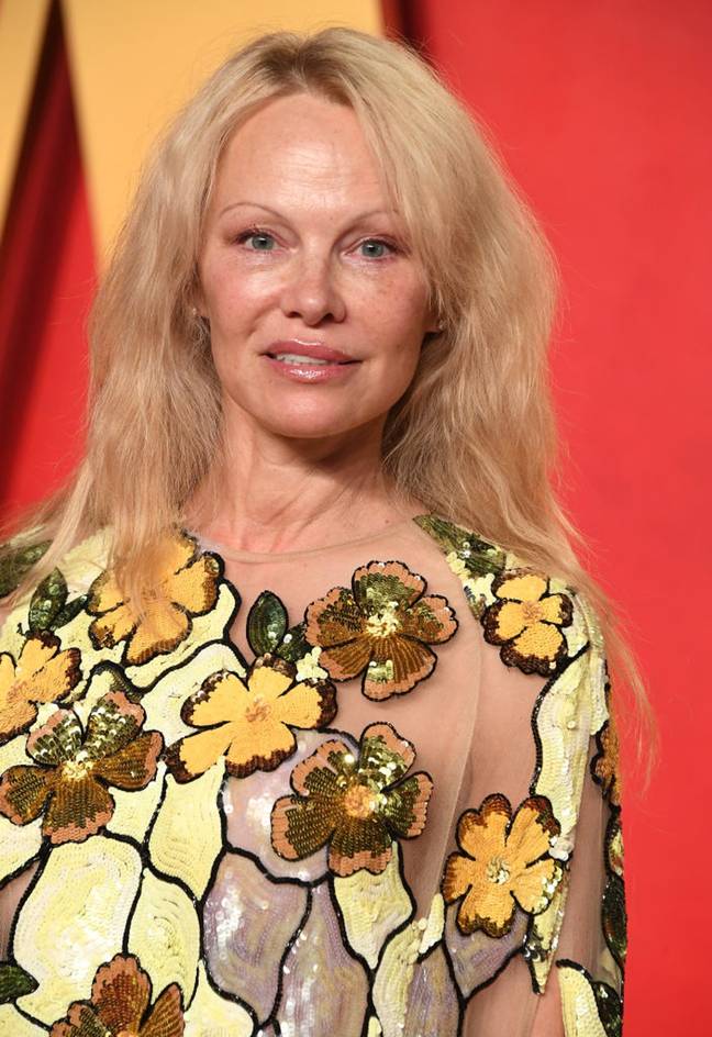 Pamela Anderson went make-up free at the Oscars last night (10 March). Credit: Steve Granitz / Contributor / Getty Images