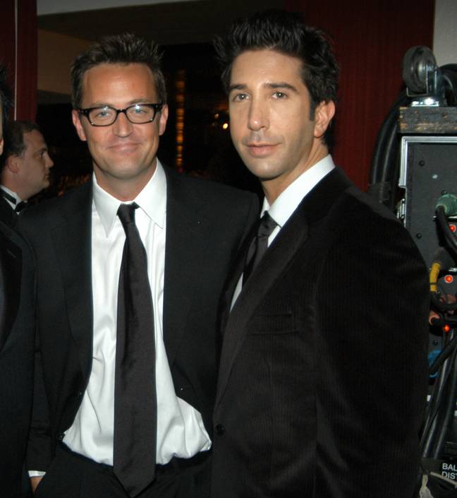 Schwimmer has paid tribute to Perry. Credit: Jeff Kravitz/FilmMagic / Getty Images