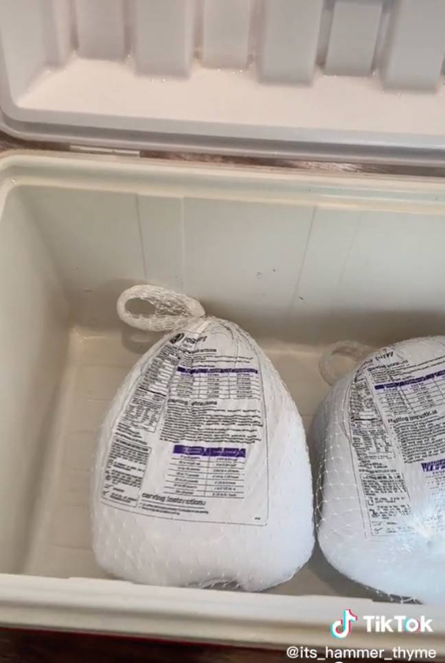 You need a container that fits your turkey for the cold water method. Credit: TikTok / @its_hammer_thyme