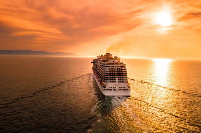 The cruise was cancelled after three delays. Credit: Photo by Alonso Reyes on Unsplash