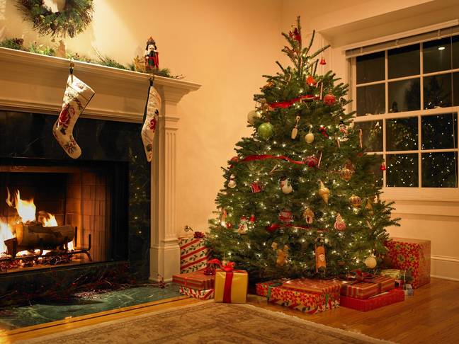 An interior expert has warned of the three places you should never put your Christmas tree. Credit: Siri Stafford / Getty Images