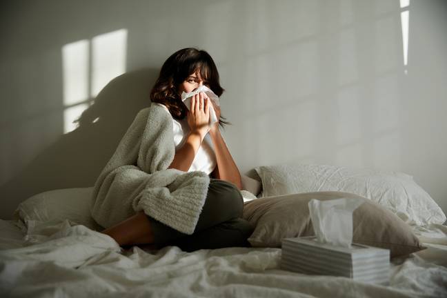 Sneezing and runny noses could be signs you're sleeping with dust mites. Credit: Goodboy Picture Company / Getty Images