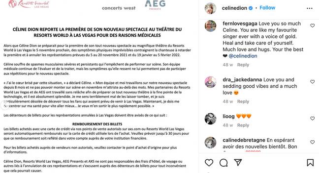 Céline explained the postponement to fans. Credit: @celinedion/Instagram