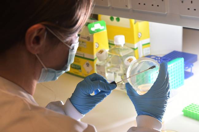 The investigation saw scientists analyse swabs from a number of different objects. Credit: SWNS