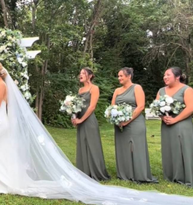 The moment a bridesmaid saw the kitten. Credit: TikTok/@gatsby.and.daisy