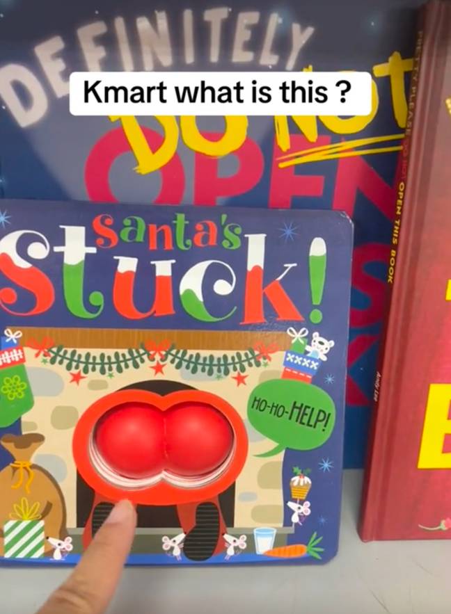 The book featured Santa's behind front and centre. Credit: TikTok/@kellanne23