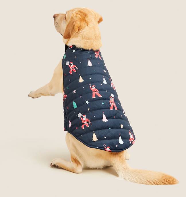 The dog pyjamas are adorable. Credit: M&amp;S