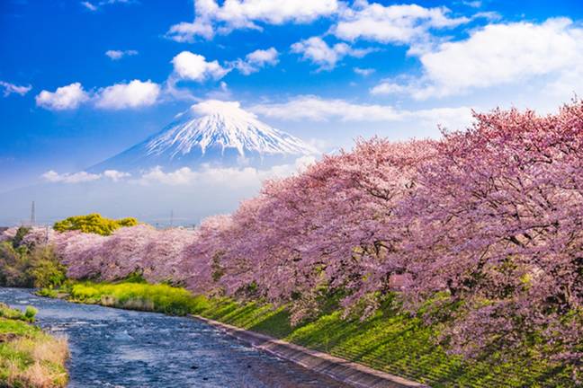 Passengers will be able to explore the wonders of Japan. Credit: Silverline