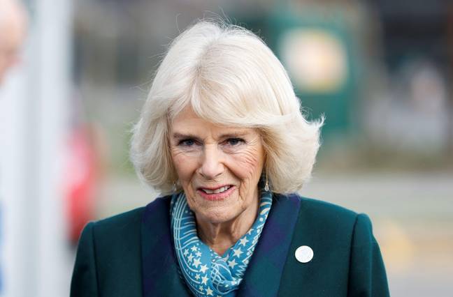 Camilla will be known as Queen Consort once Charles becomes King (Credit: Alamy)
