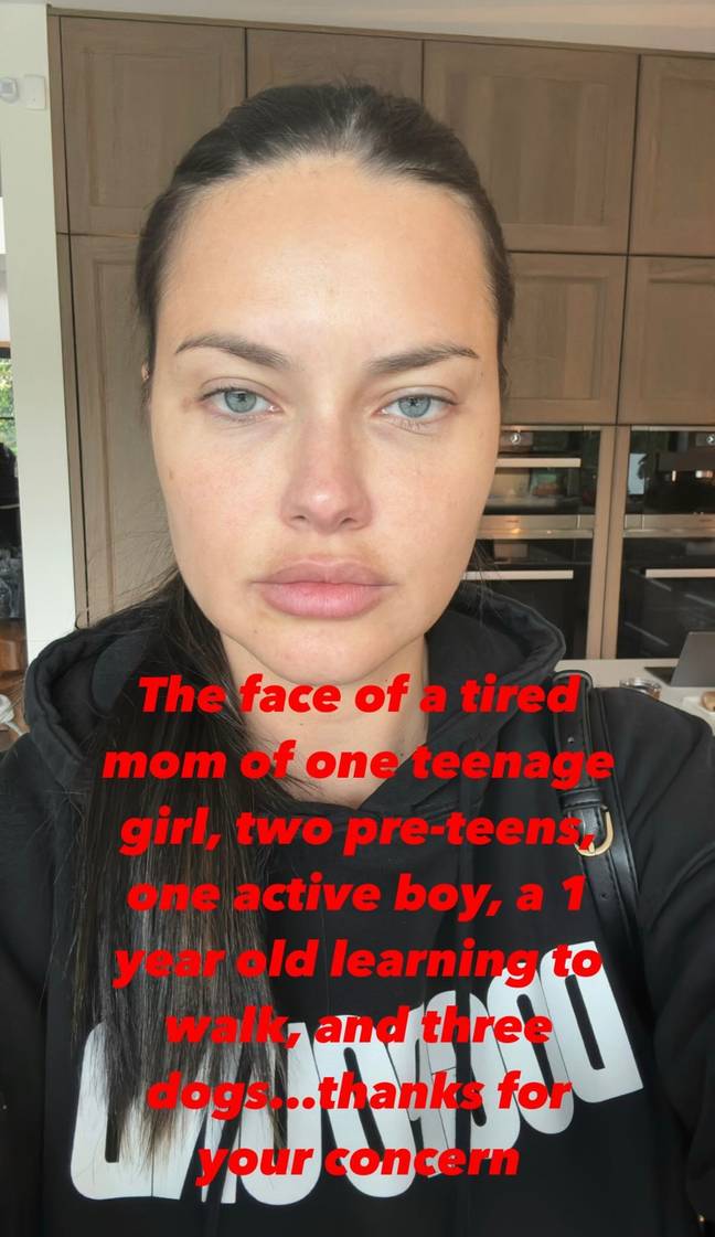 Fans supported Adriana as she hit back at trolls on Instagram. Credit: Instagram/@adrianalima