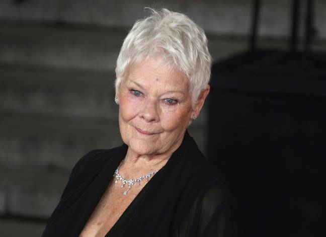 Dench has been open about her worsening eyesight. Credit: WFPA / Alamy Stock Photo
