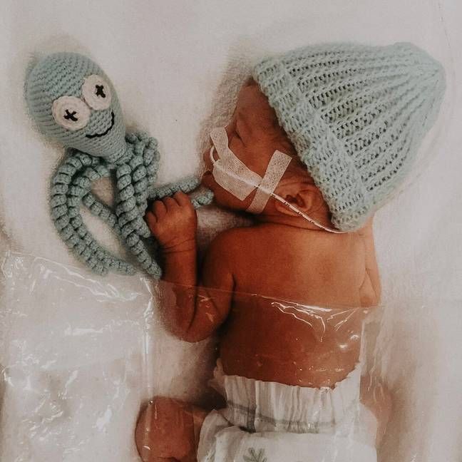 One mum has explained why octopus cuddly toys 'aren't just cute'. Credit: Facebook/Calvary Hobart - Maternity 