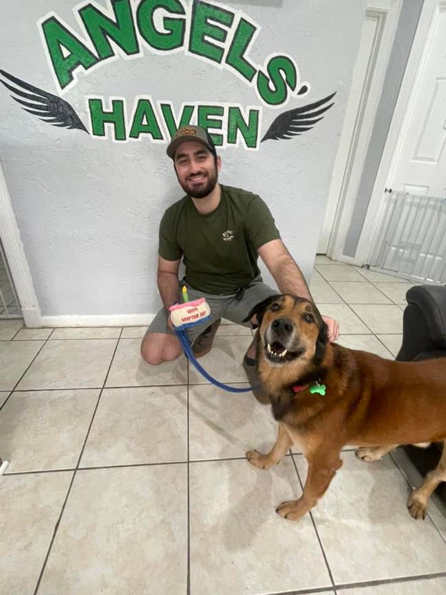 Salvatore finally found a news owner. Credit: Everglades Angels Dog Rescue