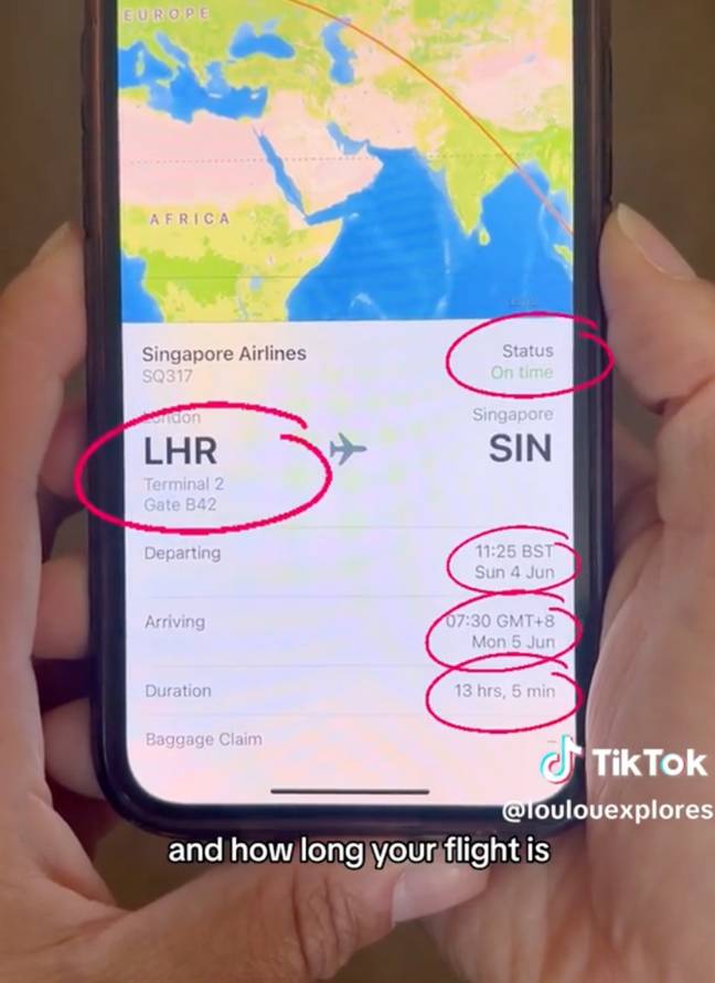 You can find out all the information you need about your flight. Credit: TikTok/ @loulouexplores