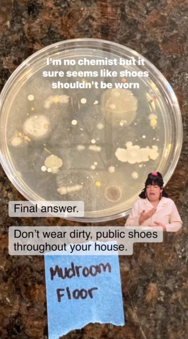 The petri dishes left Dena 'shook'. Credit: Instagram/@dailydetailswithdena