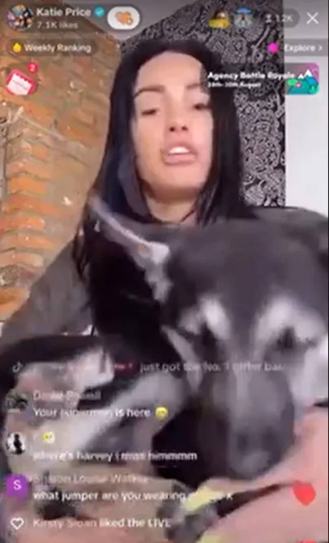 Price appears to 'hit' her dog Tank in a TikTok live video. Credit: TikTok/@katieprice