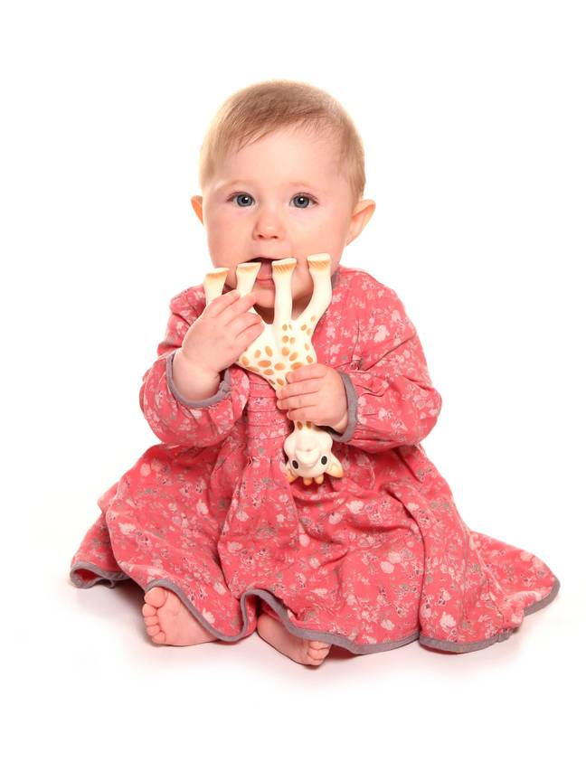 Sophie the Giraffe is a popular children's teething toy. Credit: Alamy Stock Photo/ Chris Brignell 