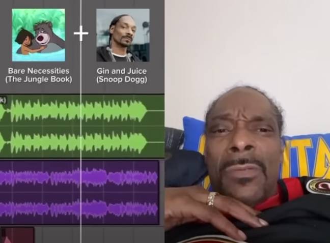 Fans think Snoop Dogg went through the ‘five stages of grief' in his reaction to Gin and Juice being remixed with The Jungle Book. Credit: YouTube / @ThereIRuinedIt
