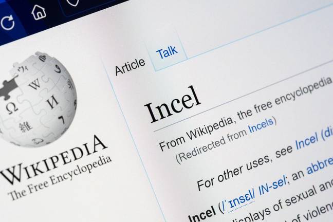 Incel Group Ex-incel sheds light on sinister world and decrypts some of its ...