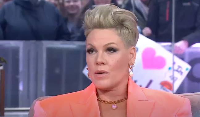 Pink spoke about the forthcoming tour on Today. Credit: NBC