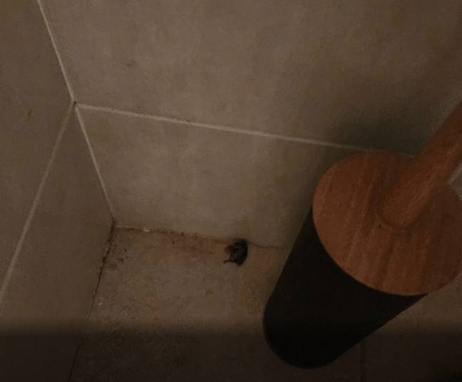 Kitti did not receive a full refund for her stay. Credit: TripAdvisor