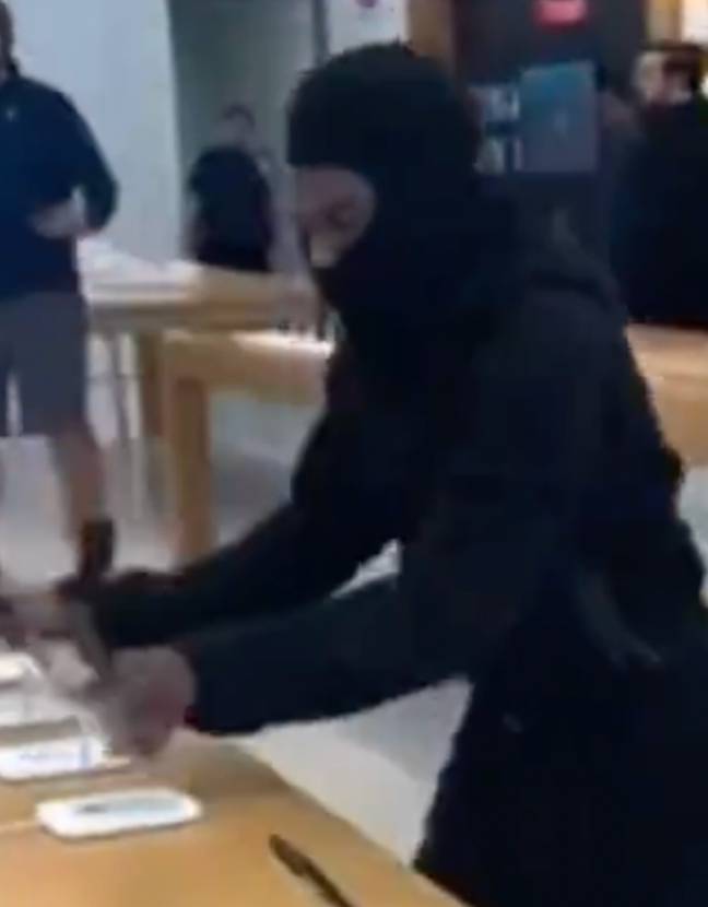 The footage shows a man with his face hidden stealing display iPhones from an Apple Store. Credit: TikTok/@bustdowncorn