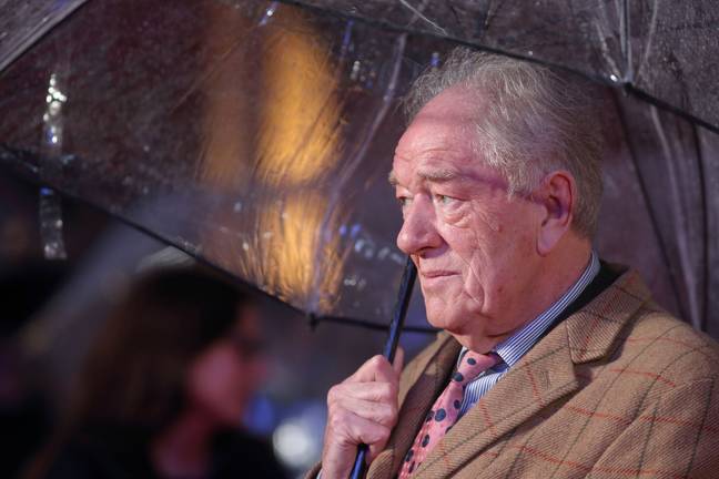 Sir Michael Gambon has passed away aged 82. Credit: Getty/Mike Marsland 