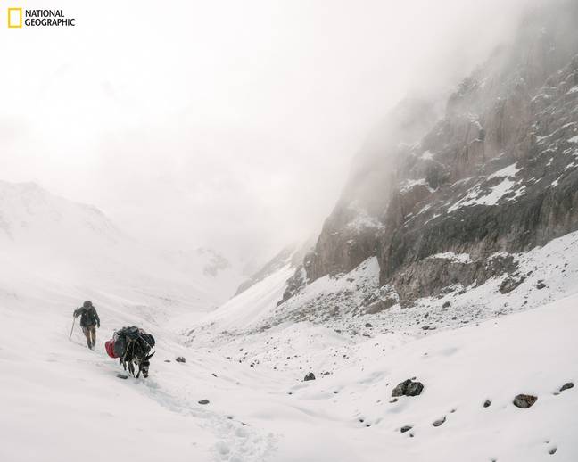 The trip has taken him to the extremes. Credit: National Geographic