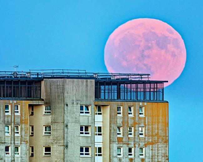 Shots of the Full Strawberry Moon were shared across social media. Credit: gerard ferry / Alamy Stock Photo
