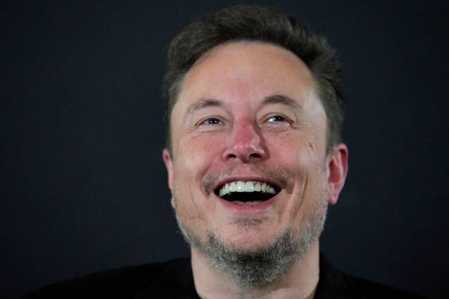 Neuralink is owned by Elon Musk. Credit: Kirsty Wigglesworth - WPA Pool/Getty Images