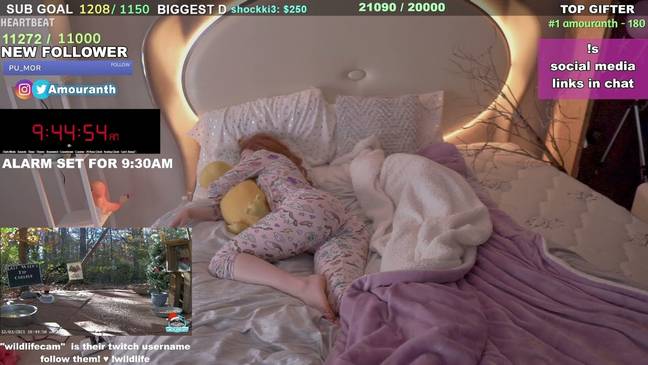 Amouranth's sleep streams are very popular and lucrative. Credit: Amouranth/Twitch