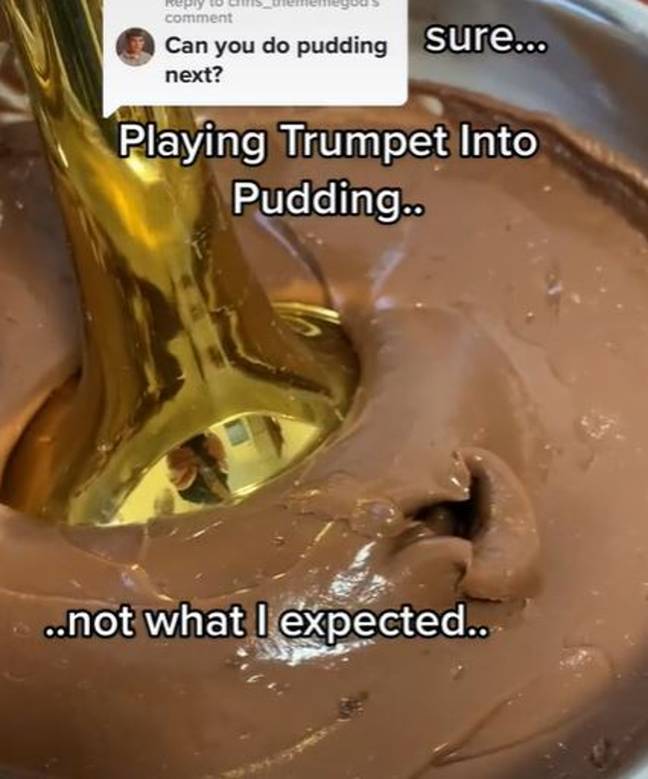 Playing the trumpet into pudding (@sammyhaigmusic/TikTok)