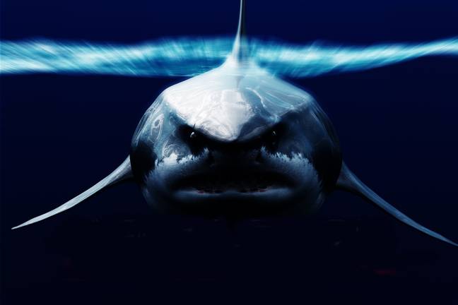 Scientists are discovering the truth about the Megalodon