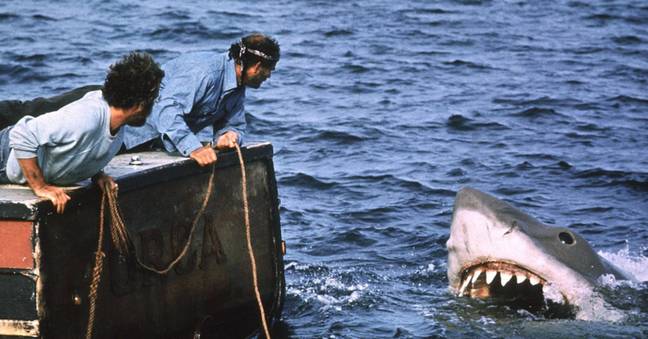 Jaws created a new fear of sharks. Credit: Universal Pictures