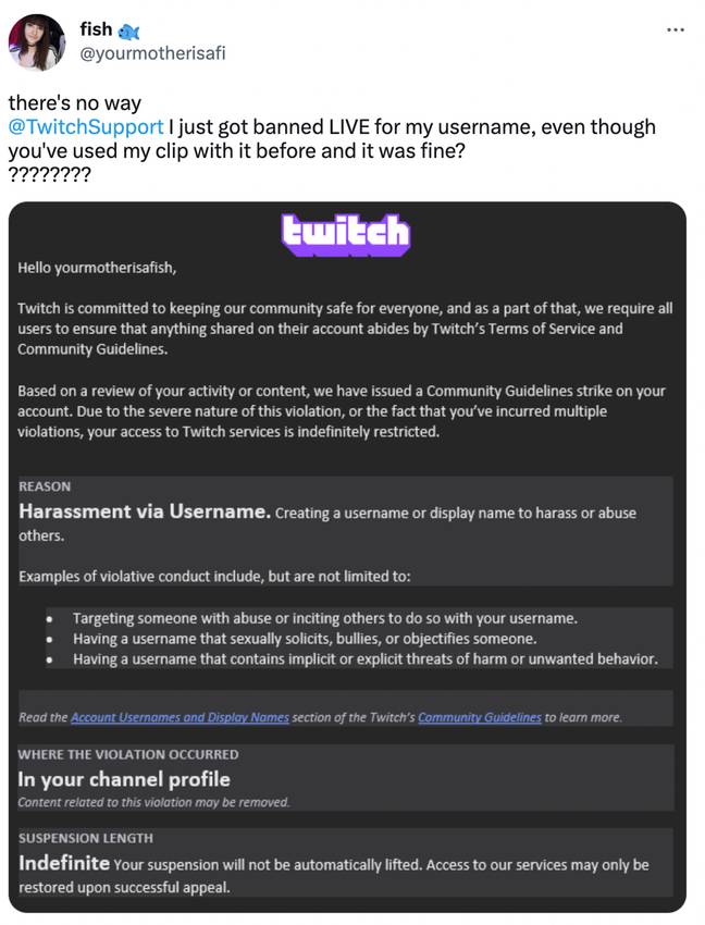 Twitch streamer banned from platform due to 'harassment via username'