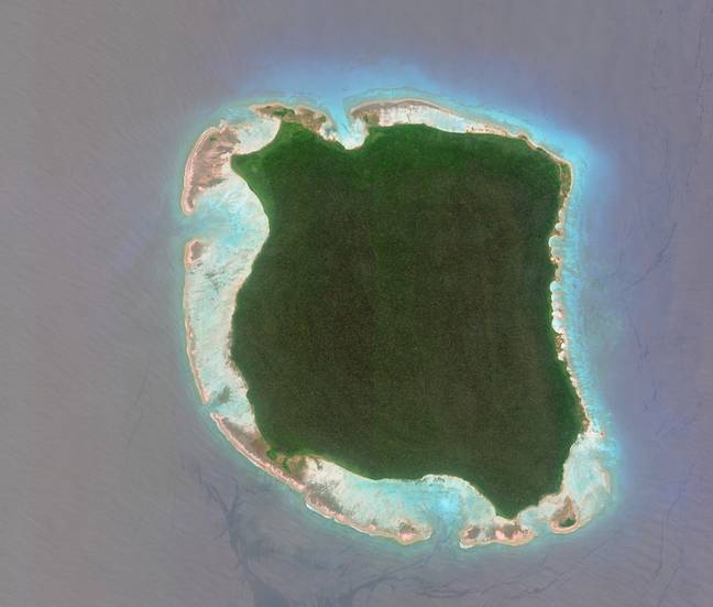 North Sentinel Island. Credit: DigitalGlobe via Getty Images via Getty Images