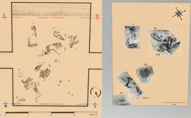 Reconstruction from images of Sado Valley human remains. (Cambridge University Press/Rita Peyroteo-Stjerna, Liv Nilsson Stutz, Hayley Louise Mickleburgh and João Luís Cardoso)