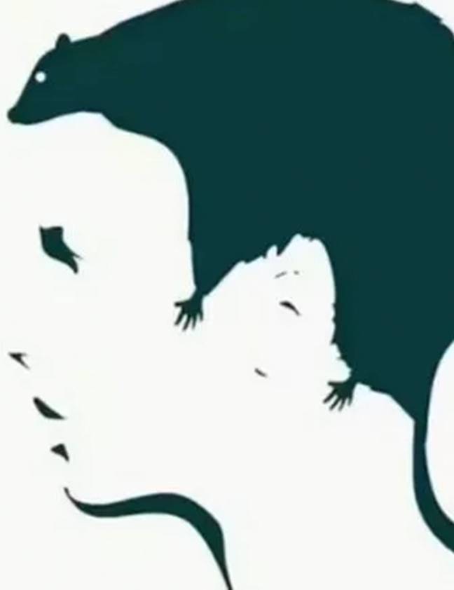 Viewers have been left stunned by the optical illusion. Credit: TikTok/@psychologylove100