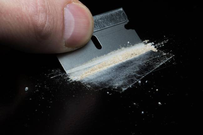 Police in Florida seized enough fentanyl to kill Estonia’s entire population. Credit: vexedart/Alamy Stock Photo