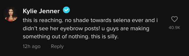 The influencer has denied the accusations. Credit: TikTok