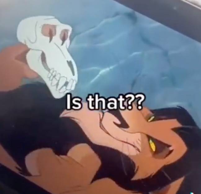 It's suggested the skull could belong to Mufasa. Credit: @bumanji/TikTok